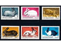 България 1986 - зайци MNH