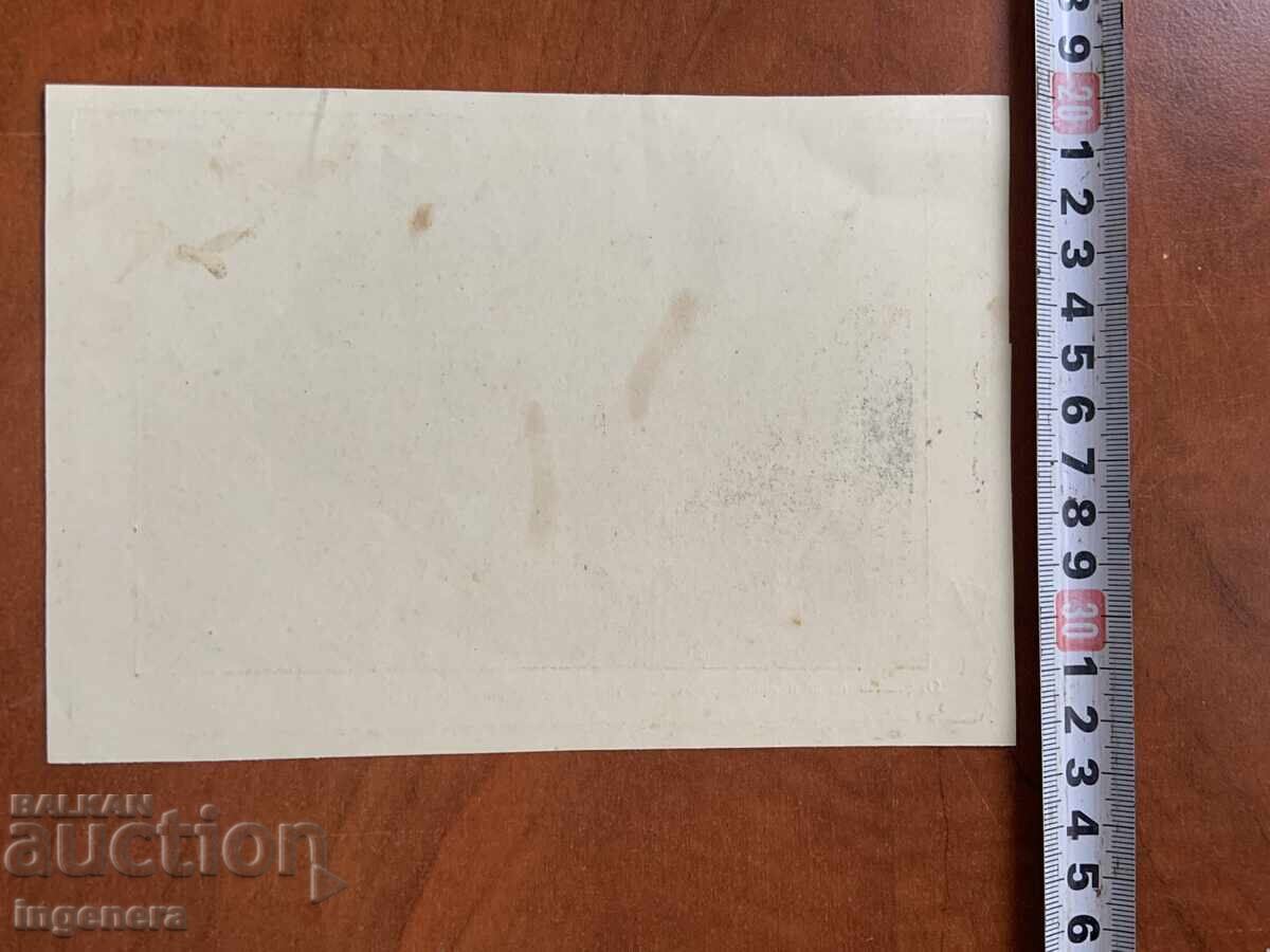 Auction  PHOTO PHOTO COPY-VIDIN