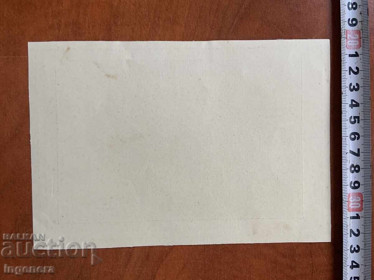 Auction  PHOTO PHOTO COPY-VIDIN