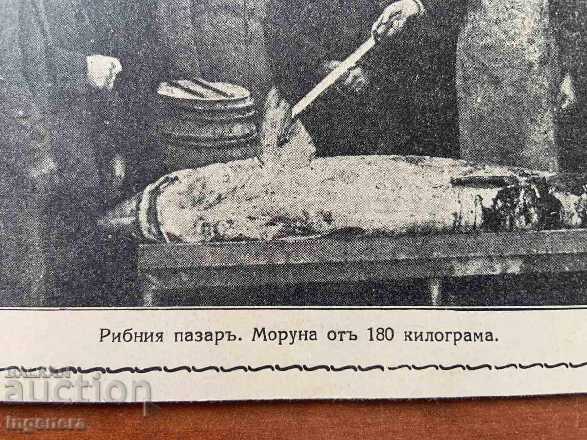 PHOTO PHOTO COPY-VIDIN with price 8.00 BGN | € 4.09