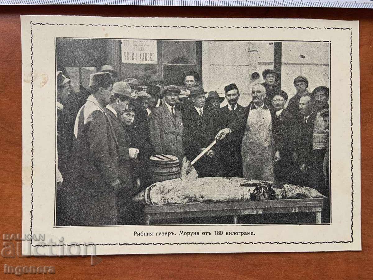 PHOTO PHOTO COPY-VIDIN