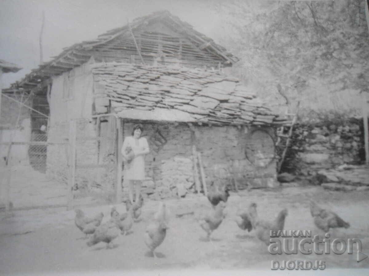 fotografie veche fotografie veche