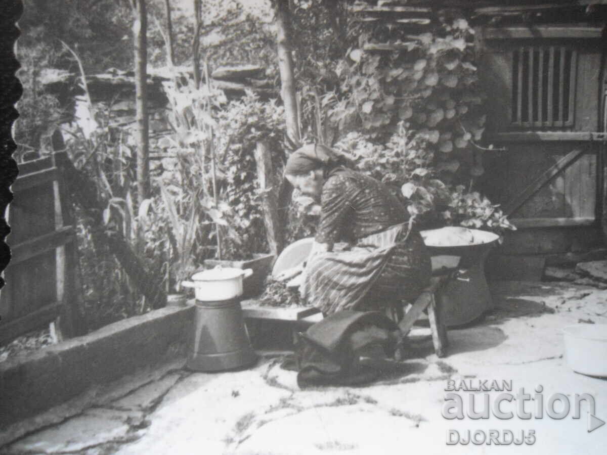 fotografie veche fotografie veche