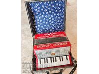 Acordeon Original Rus Soț URSS Malyș 12 basi