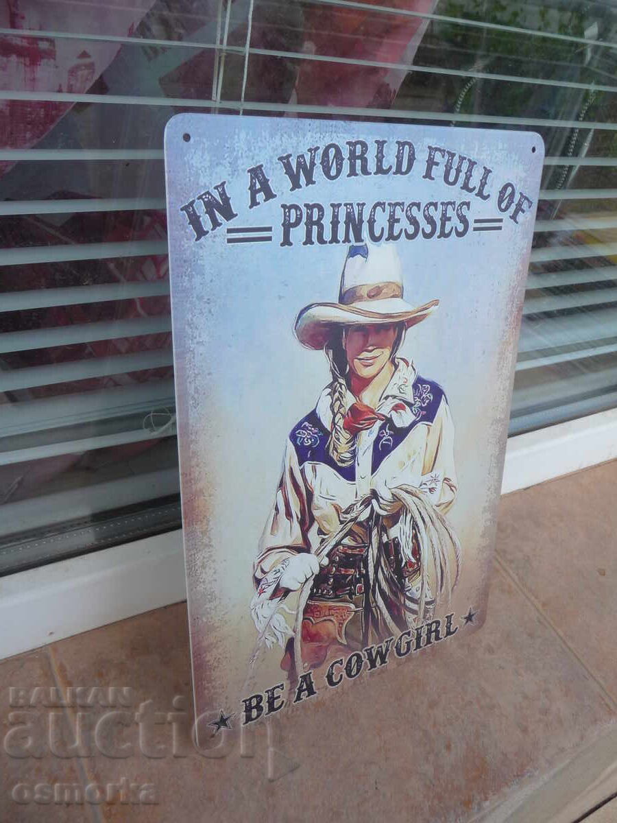 Metal sign various The world is full of princesses be a wild boy with price 18.00 BGN | € 9.20