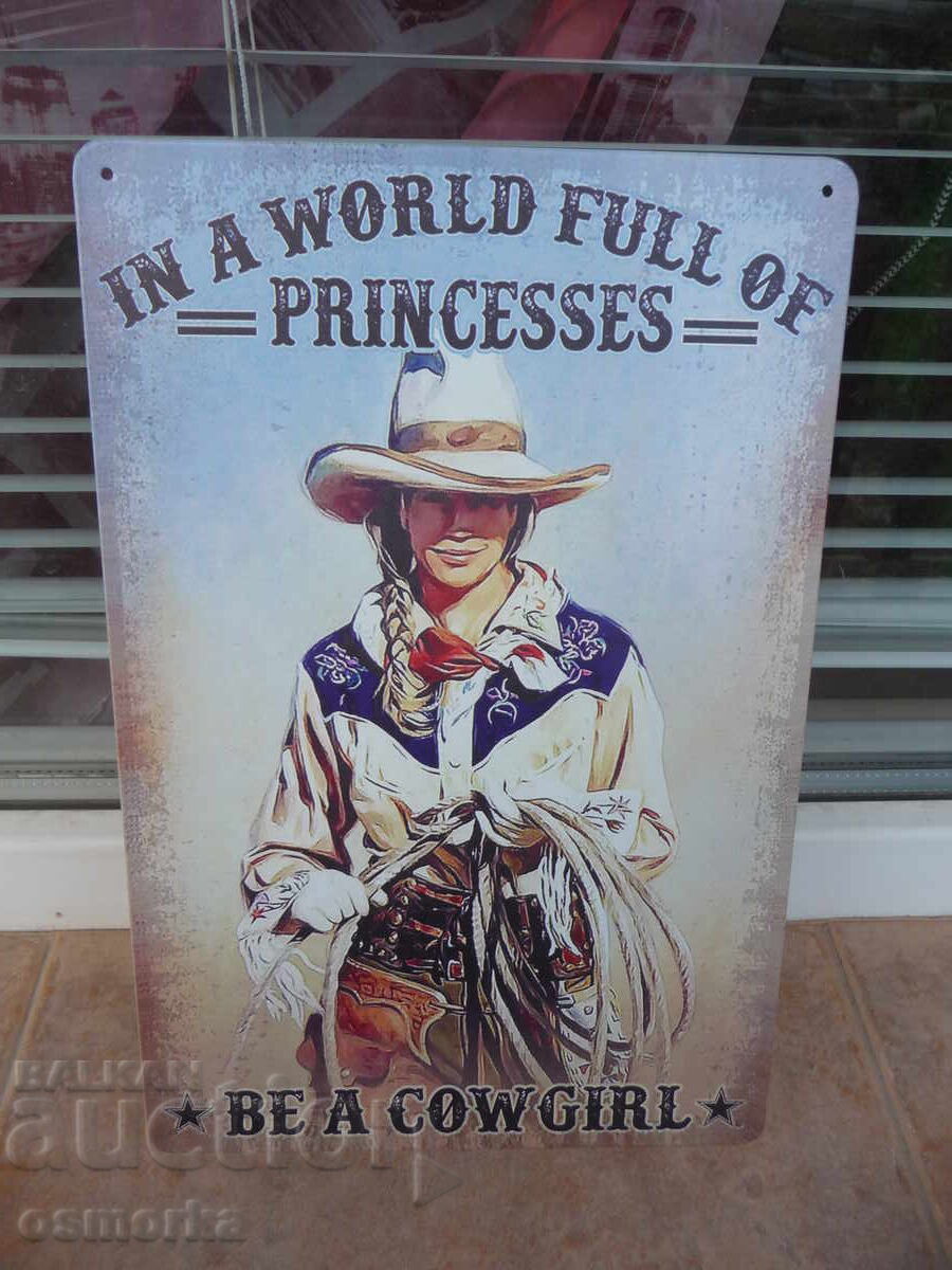 Metal sign various The world is full of princesses be a wild boy