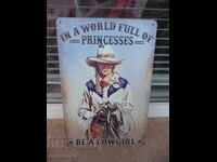 Plăcuță metalică diverse Lumea este plină de prințese fii un băiat sălbatic