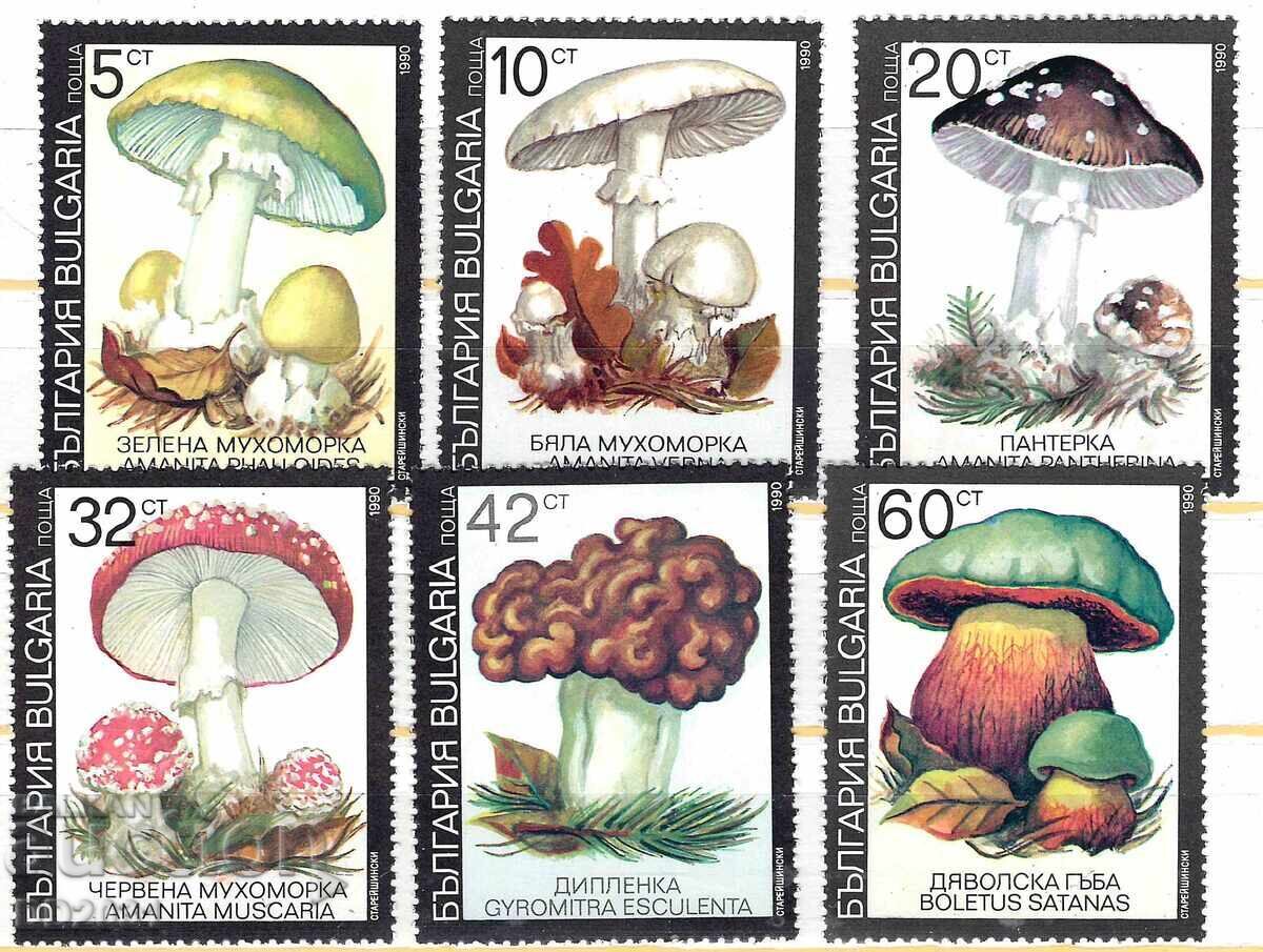 Βουλγαρία 1991 - Μανιτάρια MNH