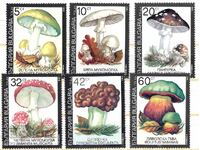 Βουλγαρία 1991 - Μανιτάρια MNH