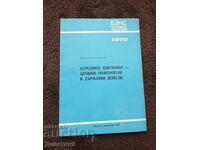 Constant Presence - BZNS February 1979