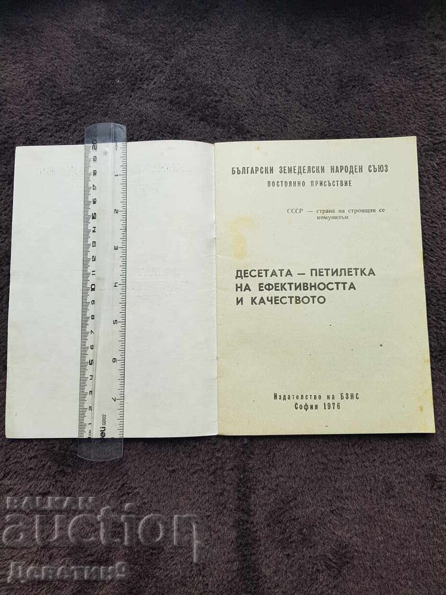 Auction  Permanent Presence - BZNS 1976