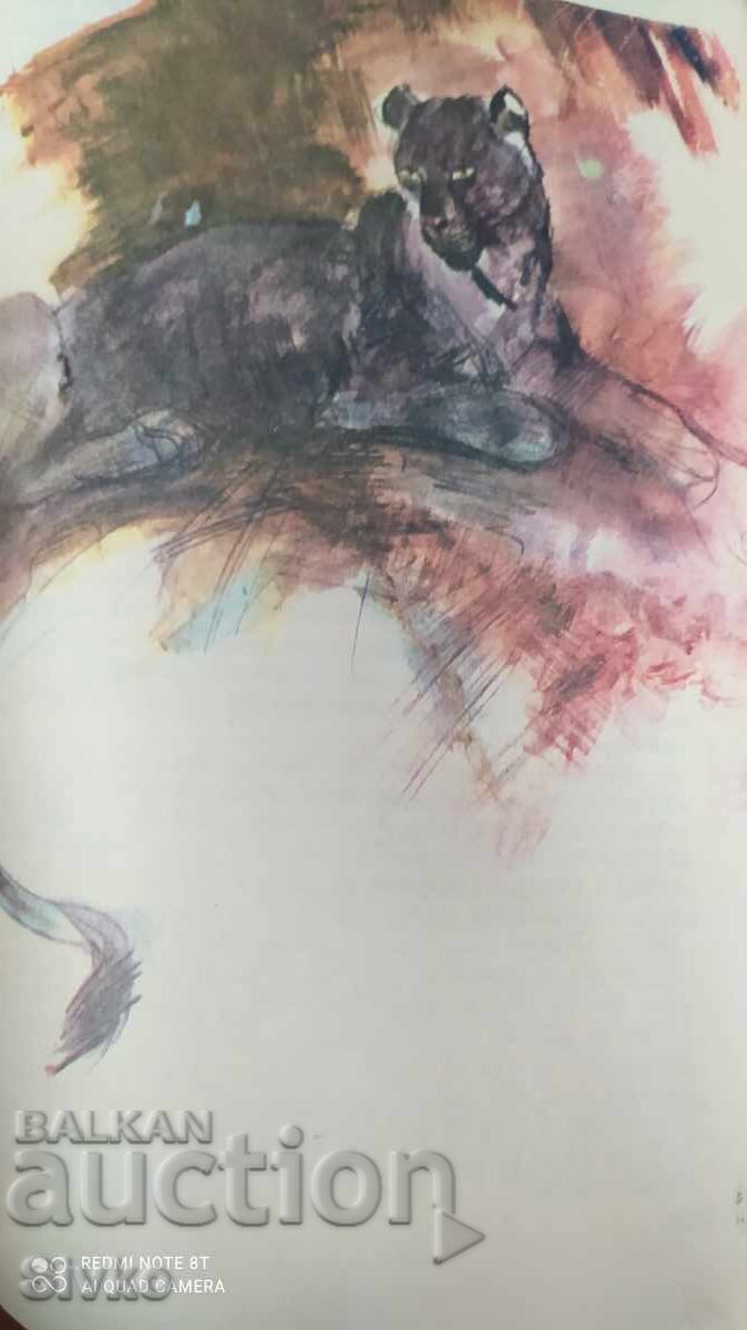 The Jungle Book, Rudyard Kipling, many illustrations with price 2.99 BGN | € 1.53 The Jungle Book, Rudyard Kipling, many illustrations with price 2.99 BGN | € 1.53