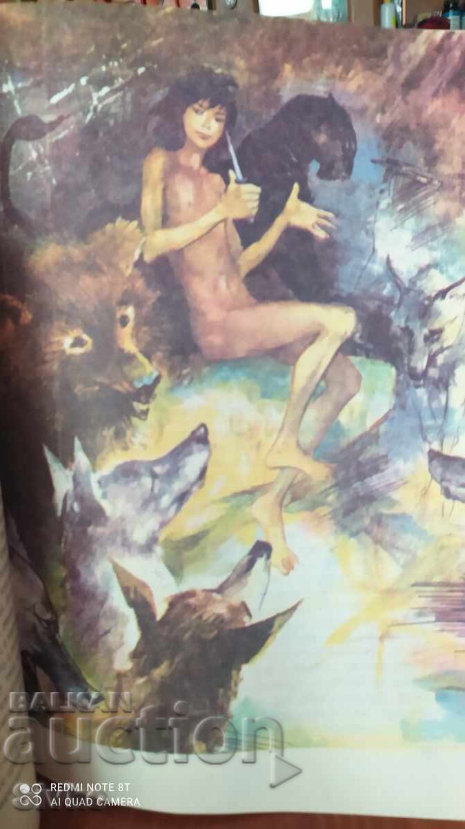 The Jungle Book, Rudyard Kipling, many illustrations - 5 The Jungle Book, Rudyard Kipling, many illustrations - 5
