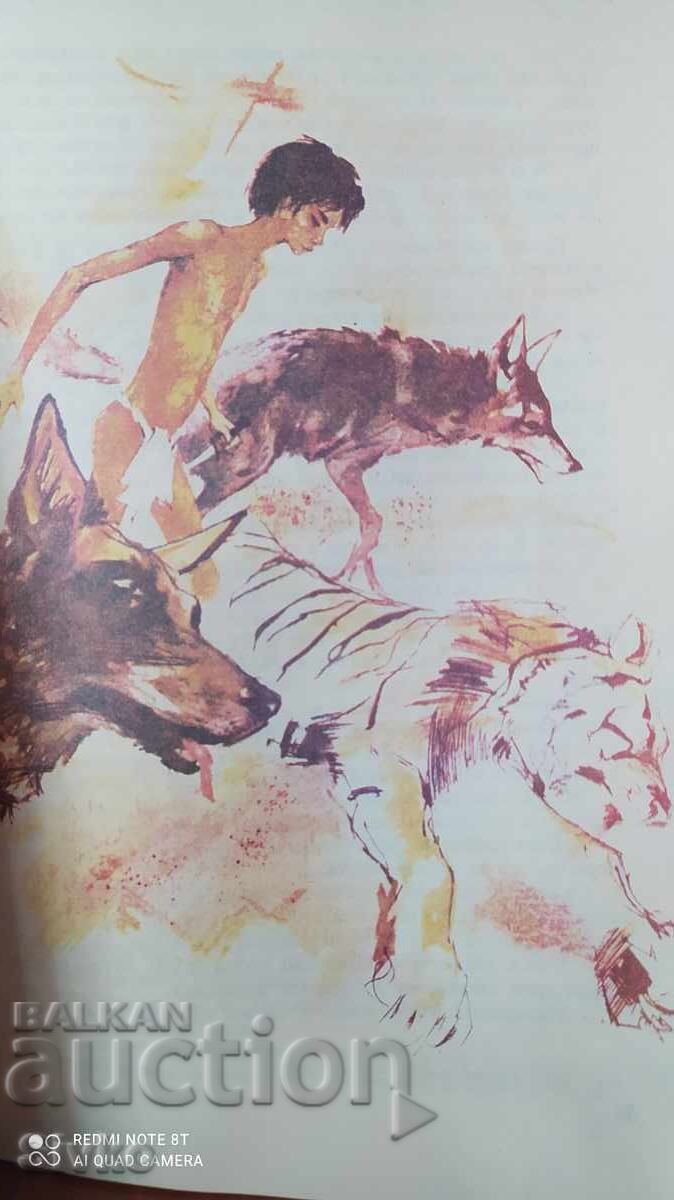 The Jungle Book, Rudyard Kipling, many illustrations - 6 The Jungle Book, Rudyard Kipling, many illustrations - 6