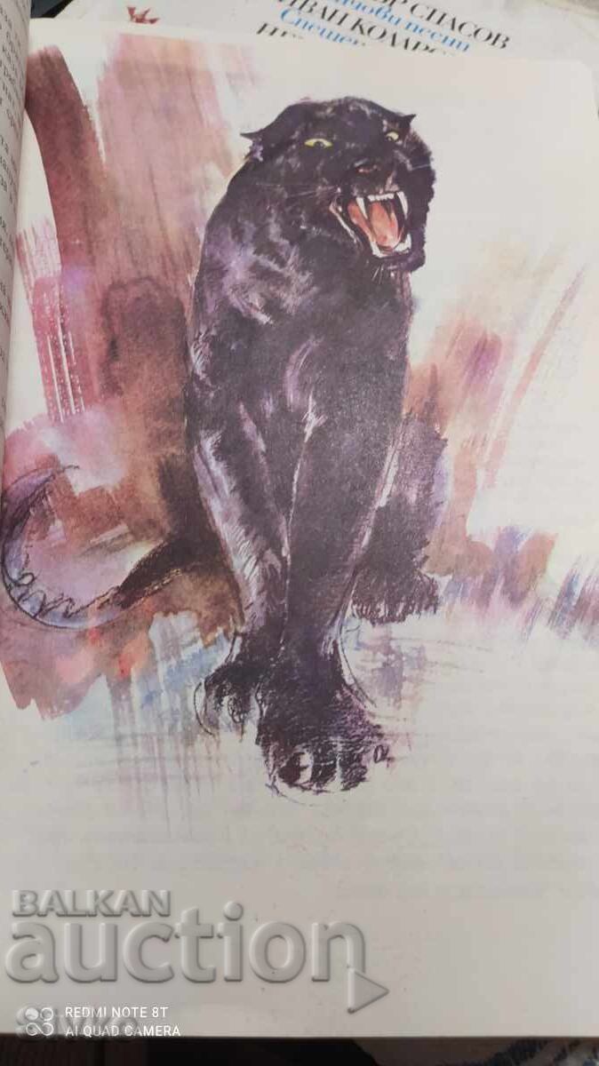 The Jungle Book, Rudyard Kipling, many illustrations - 7 The Jungle Book, Rudyard Kipling, many illustrations - 7