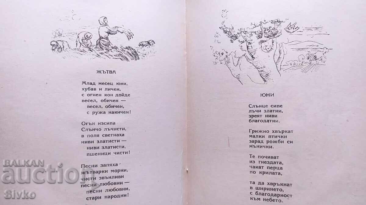 Διαυγείς πηγές, Ελίν Πελίν, πολλές εικονογραφήσεις - 7 Διαυγείς πηγές, Ελίν Πελίν, πολλές εικονογραφήσεις - 7
