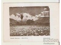 Felicitare Bulgaria Bansko Lângă Bansko - Primăvară*