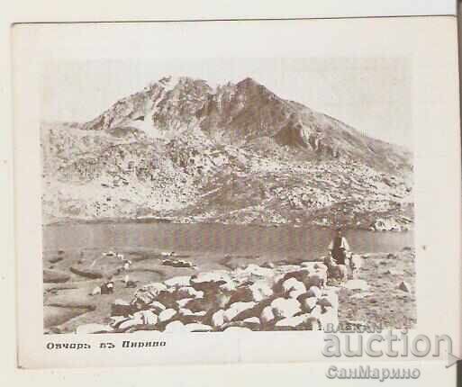 Картичка  България  Пирин Овчар в Пирин*