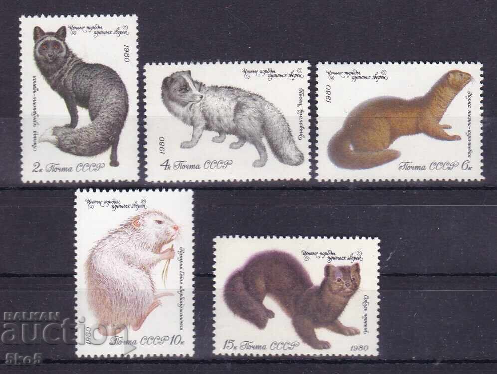 СССР- 1980 г.- ЖИВОТНИ - **/MNH СССР- 1980 г.- ЖИВОТНИ - **/MNH