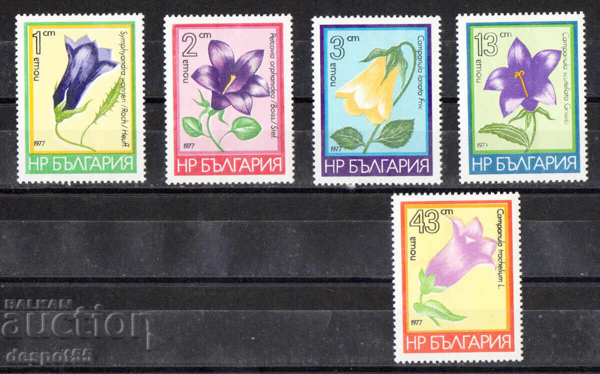 1977. Bulgaria. Mountain Flowers (Campanulaceae family) 1977. Bulgaria. Mountain Flowers (Campanulaceae family)