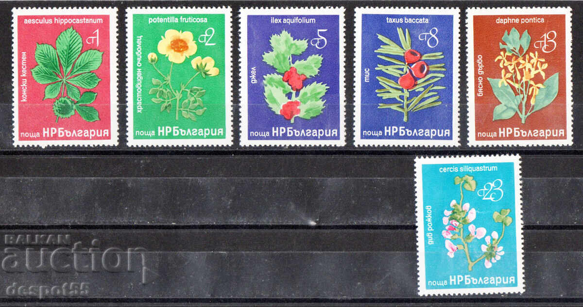 1976. Βουλγαρία. Σπάνια δέντρα και θάμνοι 1976. Βουλγαρία. Σπάνια δέντρα και θάμνοι