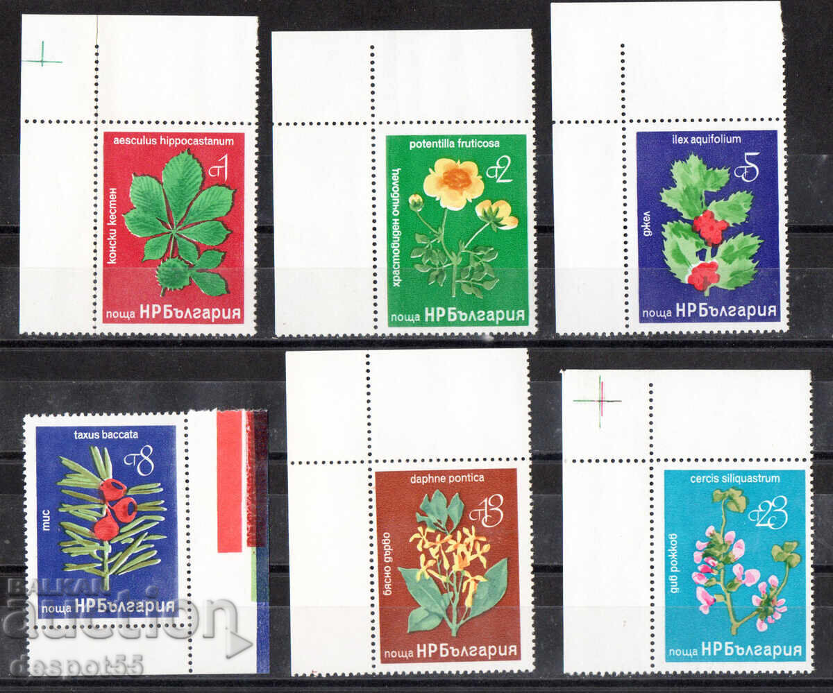 1976. Βουλγαρία. Σπάνια δέντρα και θάμνοι 1976. Βουλγαρία. Σπάνια δέντρα και θάμνοι