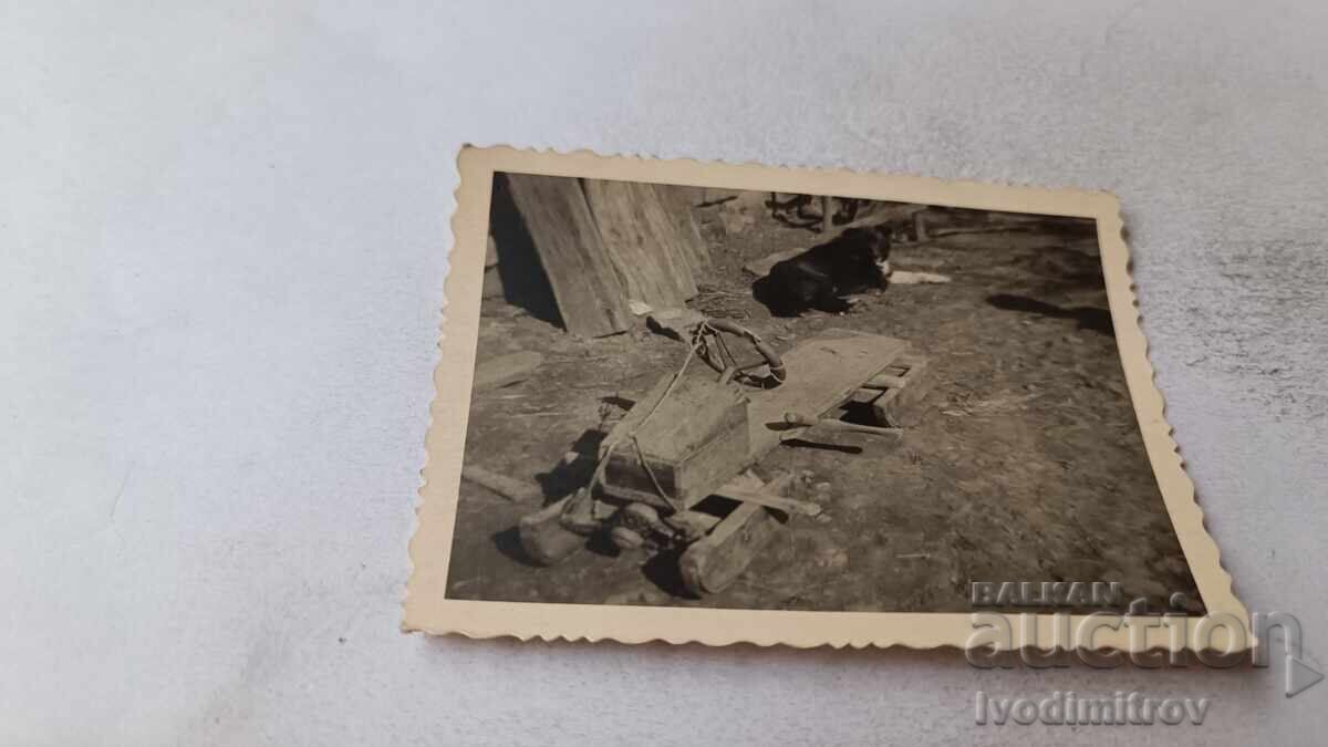 Fotografie Sănii Vechi din Lemn, Făcută Manual, și Câine Negru Fotografie Sănii Vechi din Lemn, Făcută Manual, și Câine Negru