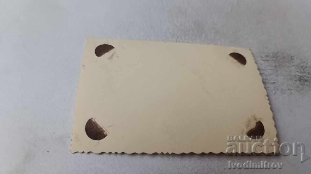 Φωτογραφία Δύο ανδρών δίπλα σε παγωμένο καταρράκτη με τιμή 1.65 BGN | € 0.84