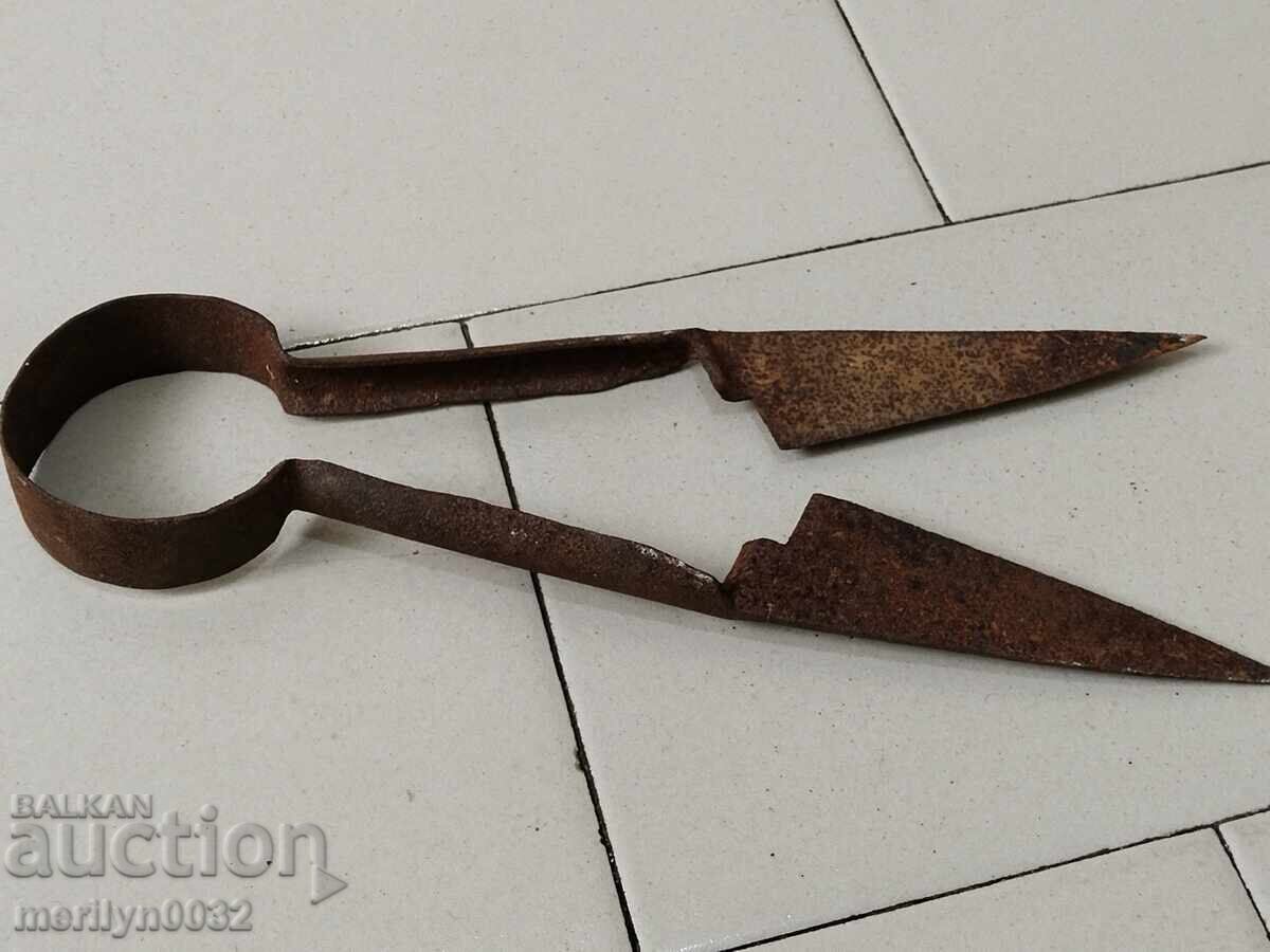 Old sheep shearing scissors, wrought iron, blade with price 43.00 BGN | € 21.99
