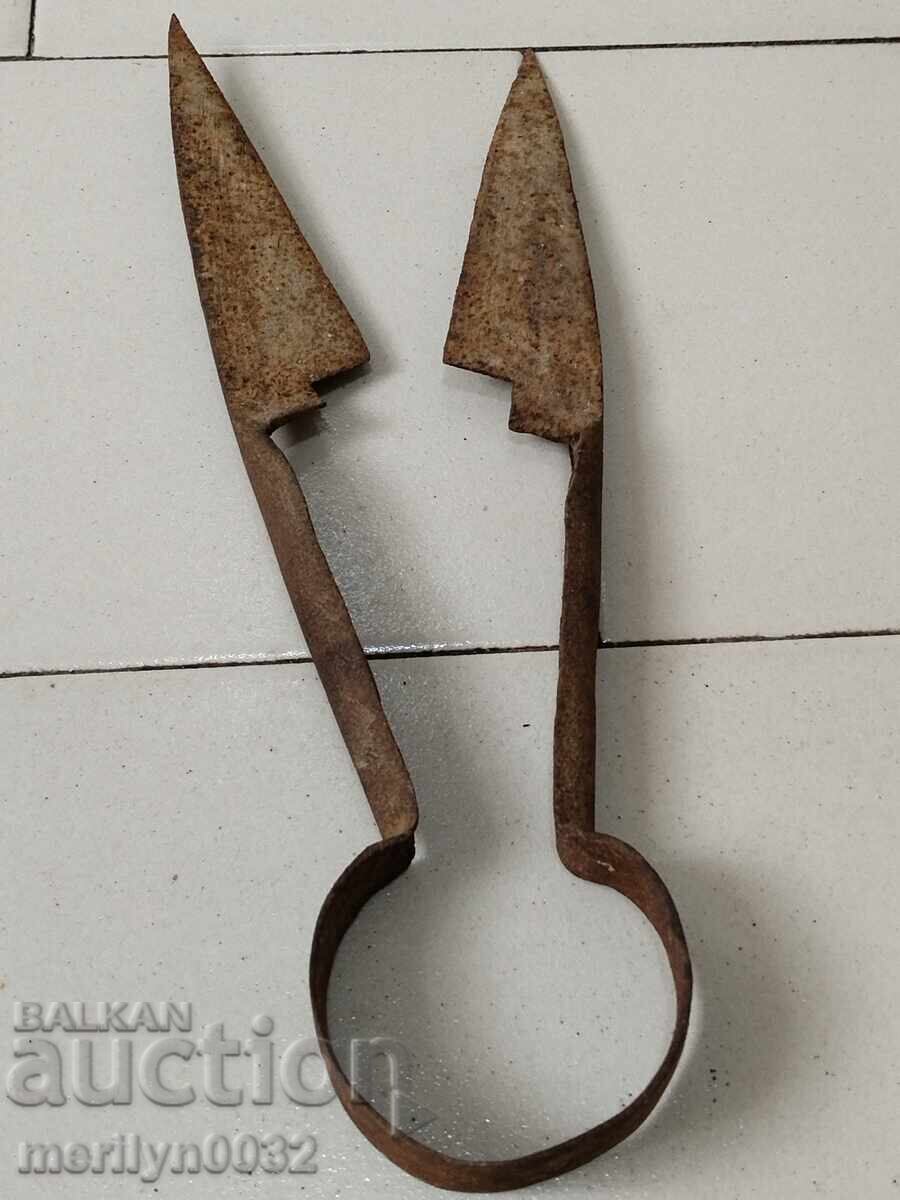 Auction  Old sheep shearing scissors, wrought iron, blade