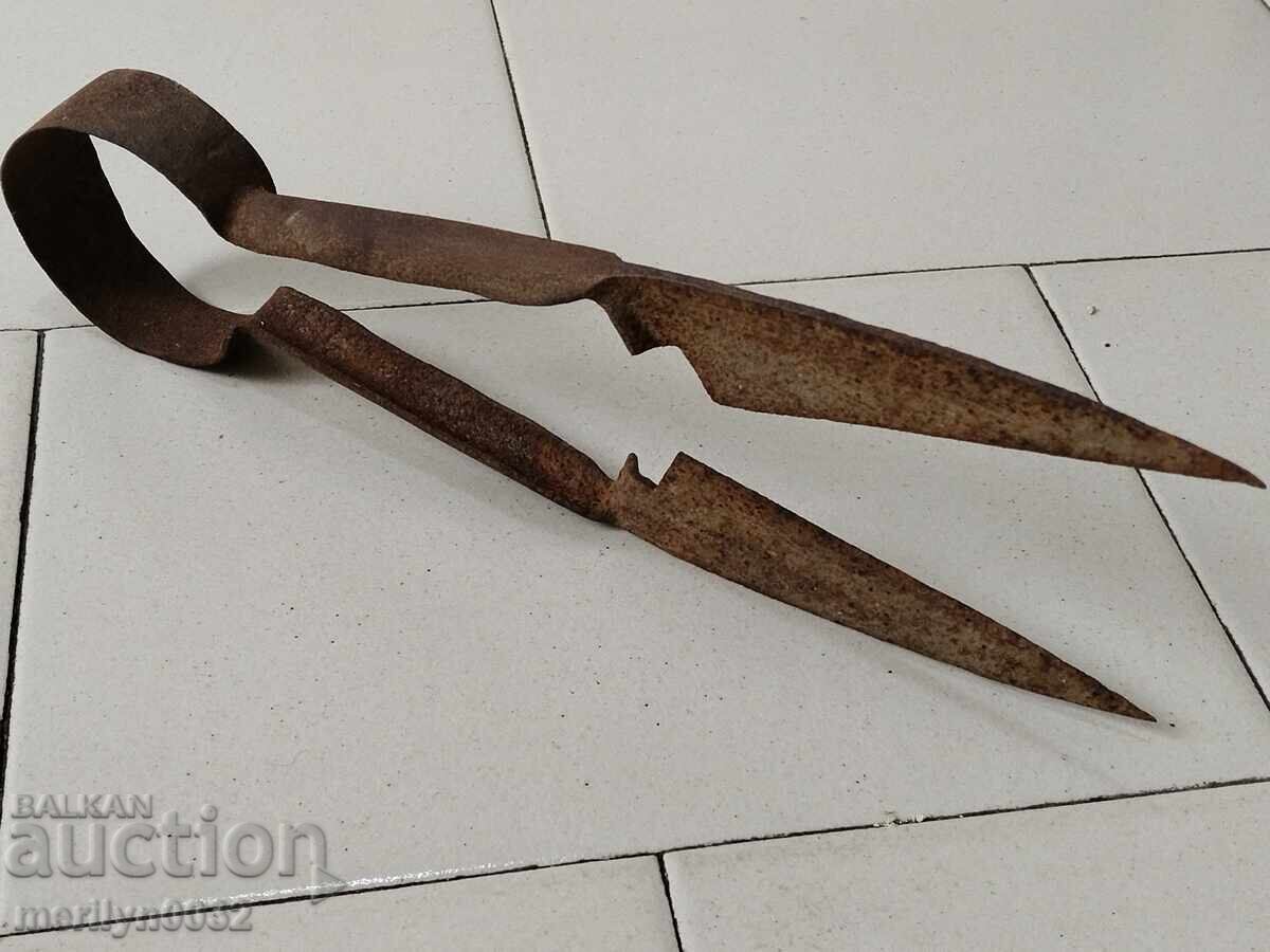 Old sheep shearing scissors, wrought iron, blade - 6