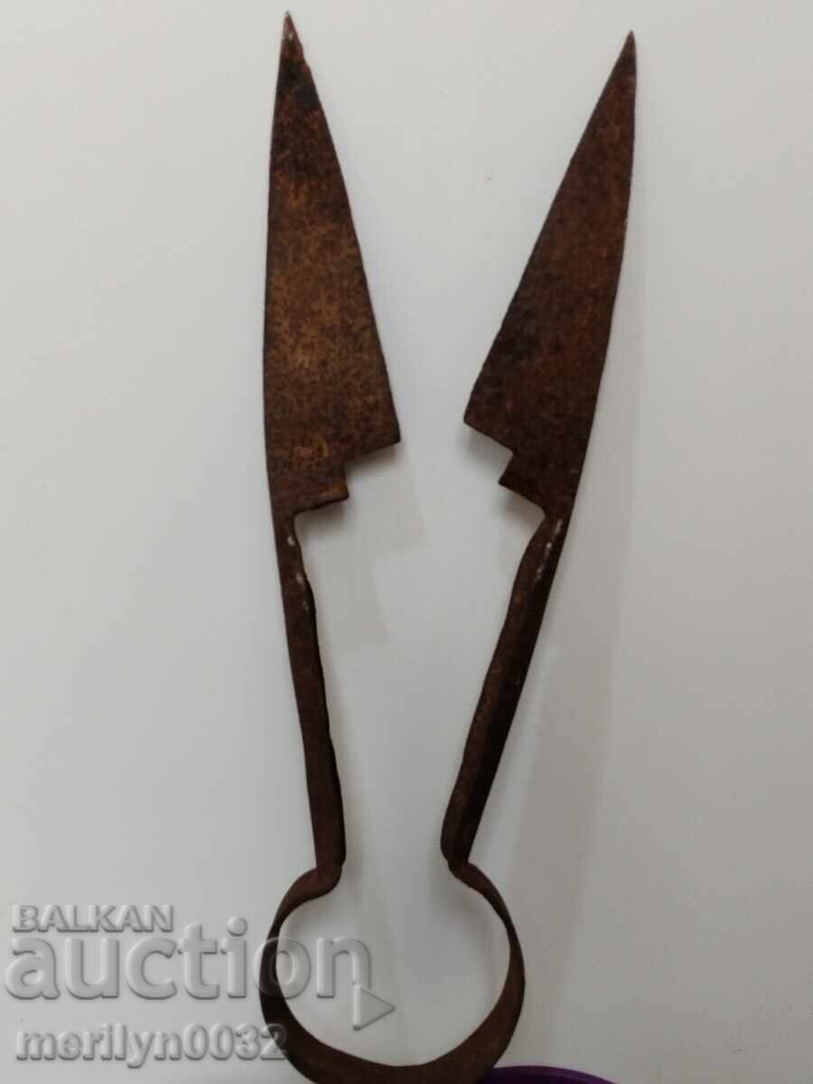 Old sheep shearing scissors, wrought iron, blade - 7