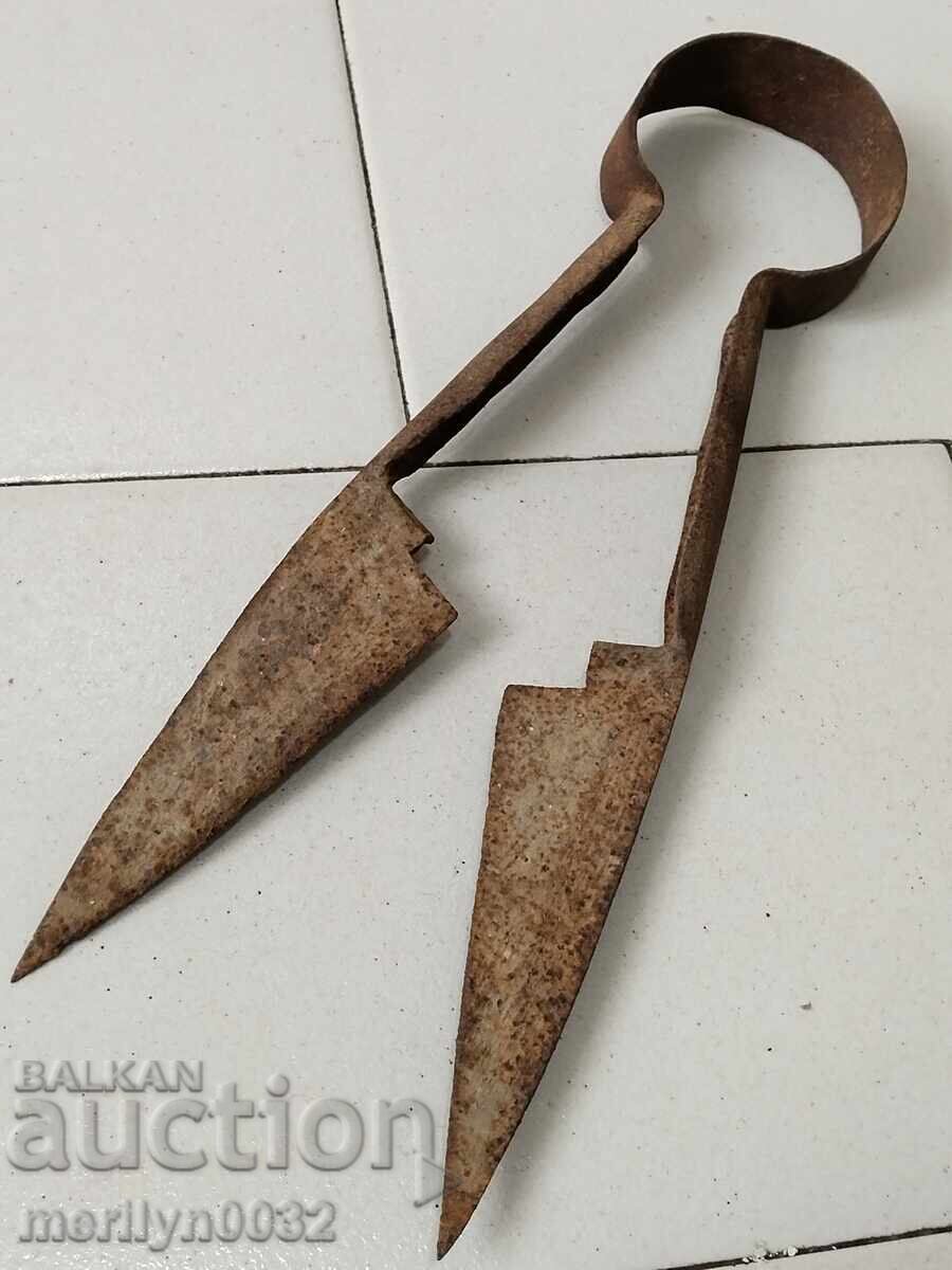 Old sheep shearing scissors, wrought iron, blade