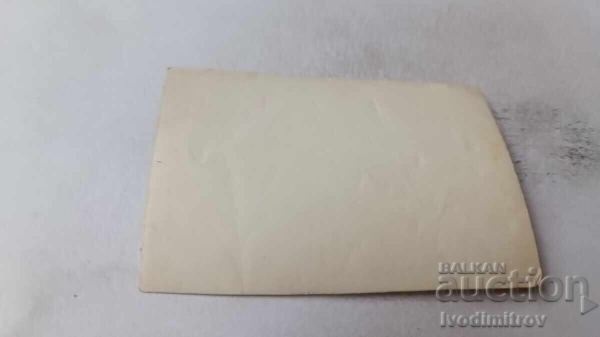 Φωτογραφία Μουσικών επικεφαλής πορείας με τιμή 1.85 BGN | € 0.95