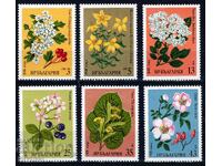 България 1981 - билки  MNH