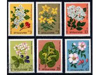 Βουλγαρία 1981 - βότανα MNH