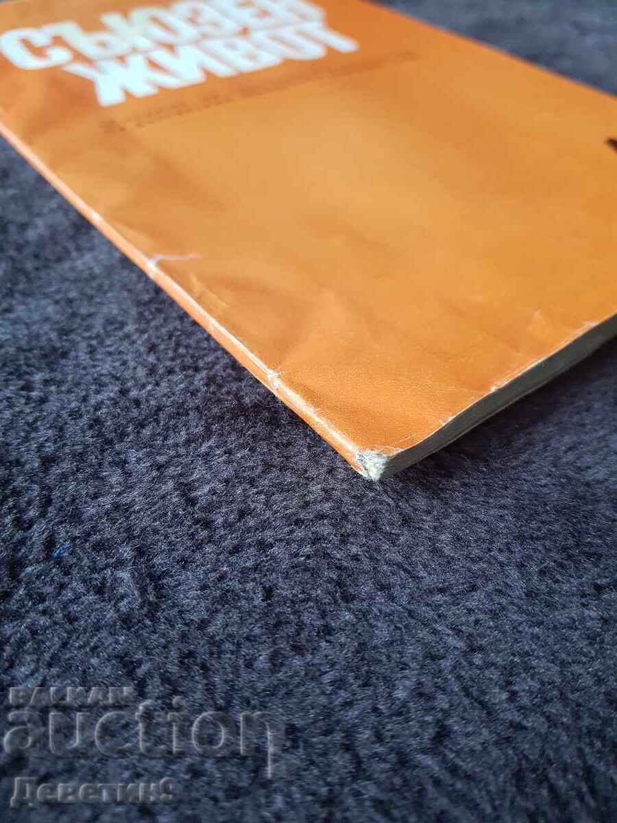 United Life - BZNS Permanent Presence Book 4, 1976 - 7