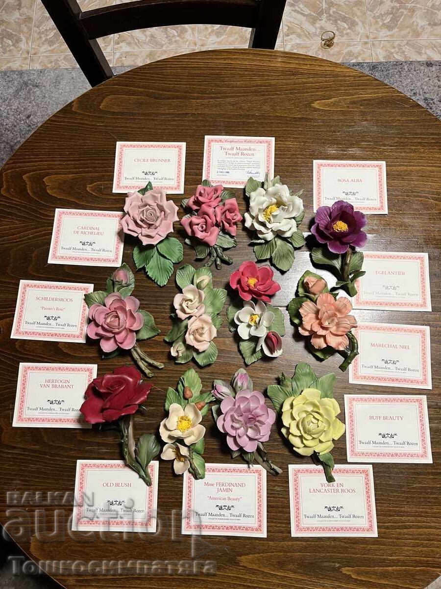 Колекция от 12 порцеланови рози