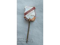 Insignă fotbal - KKS Polonia Leszno, Polonia. Email