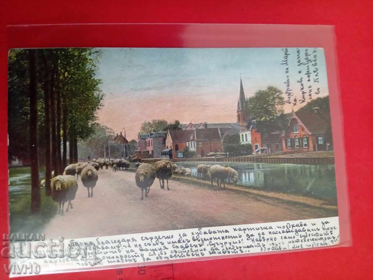 Старинна пощенска картичка 1905г