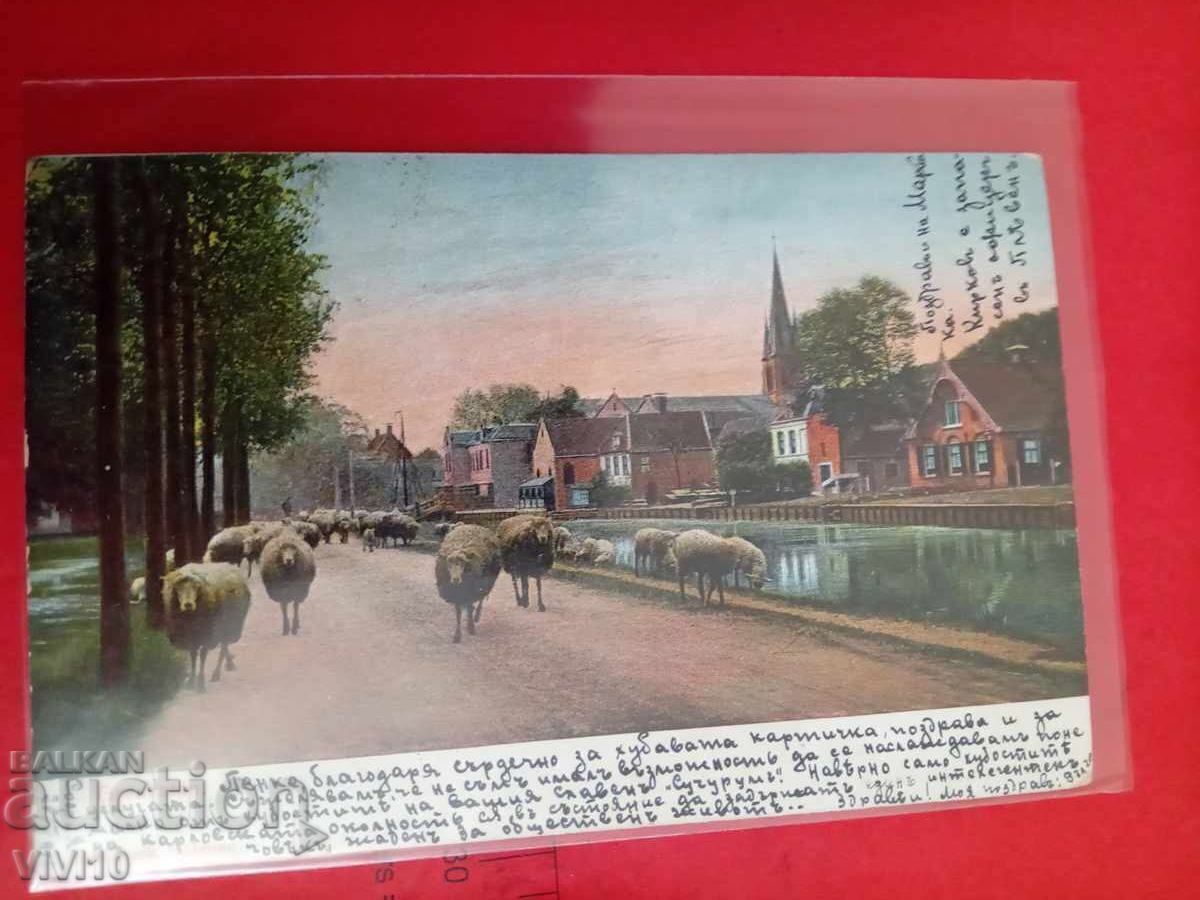 Старинна пощенска картичка 1905г