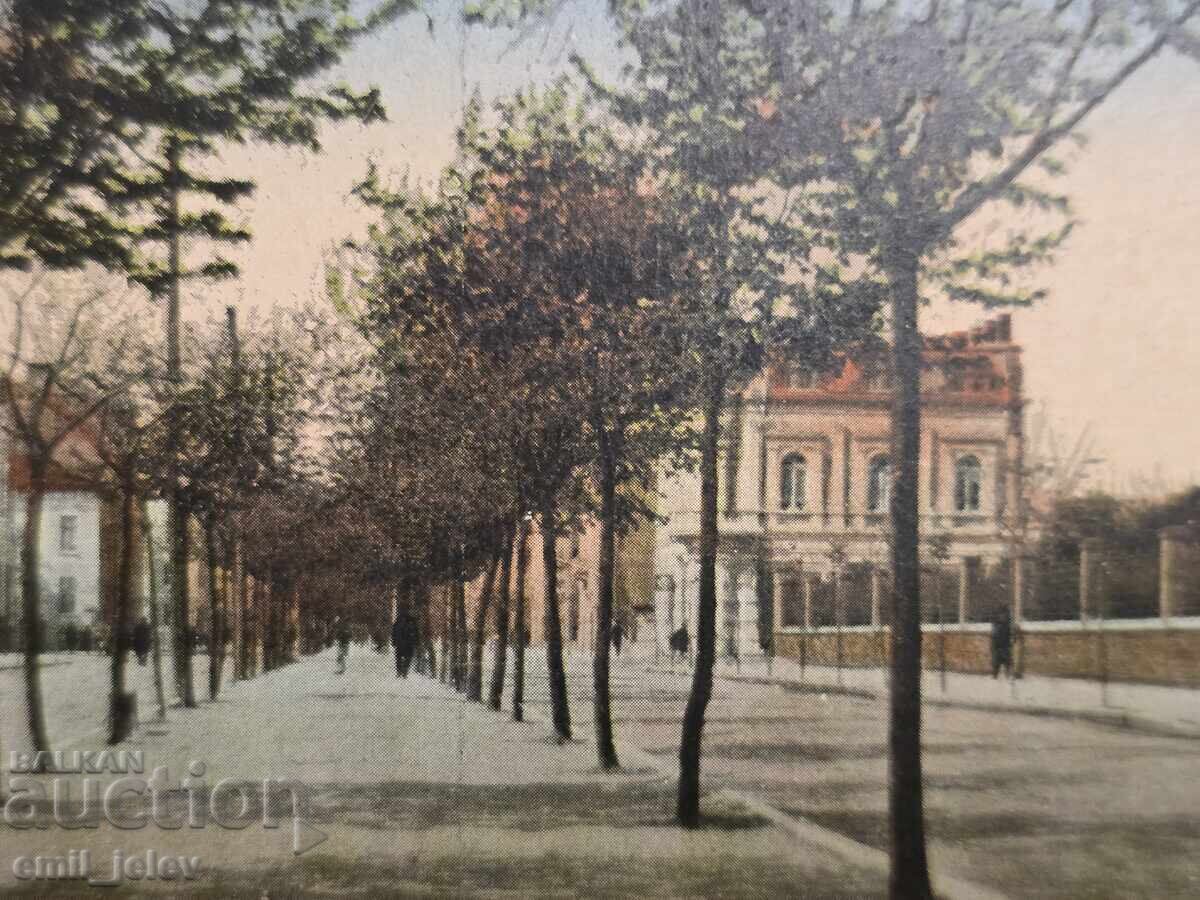 Auction  Varna - "Maria Luiza" Blvd. - Girls' High School