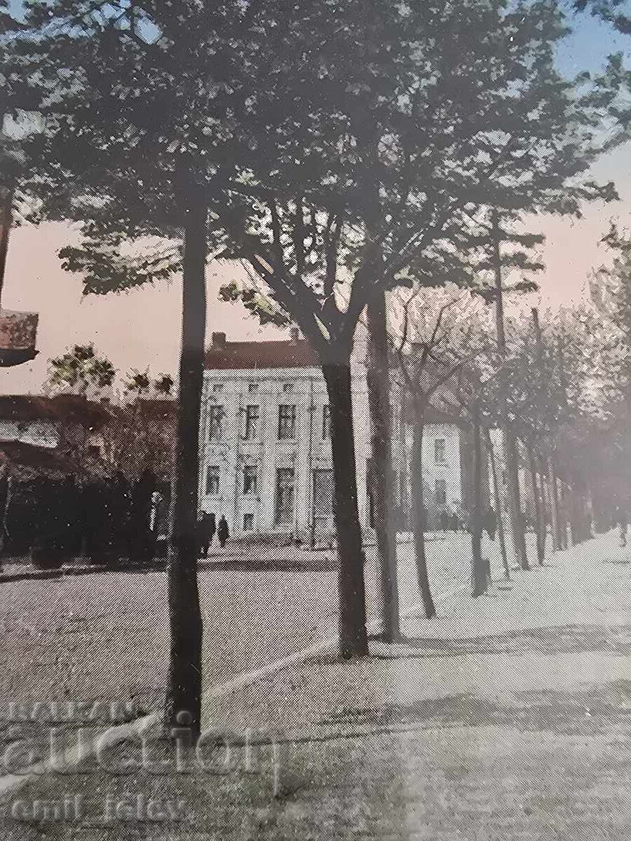 Delivery of Varna - "Maria Luiza" Blvd. - Girls' High School