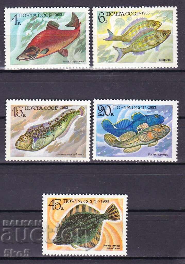 СССР-1983 г.- РИБИ - **/MNH СССР-1983 г.- РИБИ - **/MNH