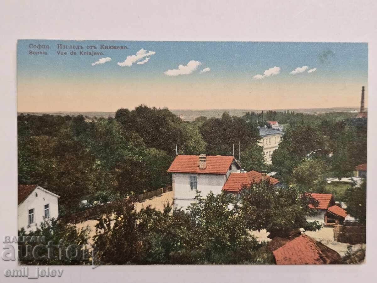 Sofia - View from Kniazhevo