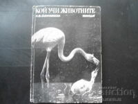 Ποιος διδάσκει τα ζώα