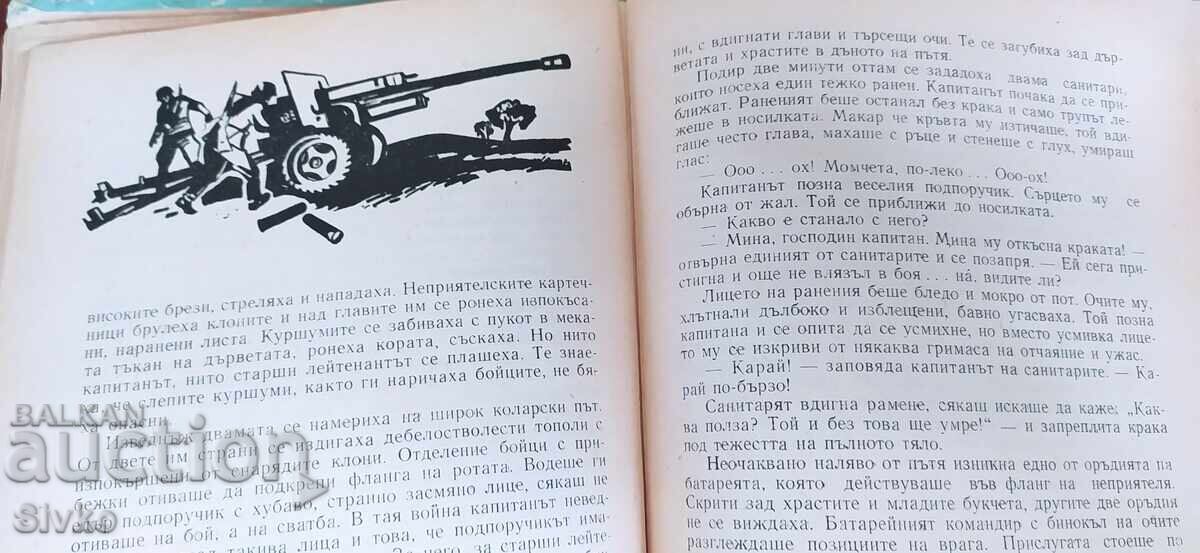 Пролет мила, Иван Мартинов, много илюстрации - 7 Пролет мила, Иван Мартинов, много илюстрации - 7