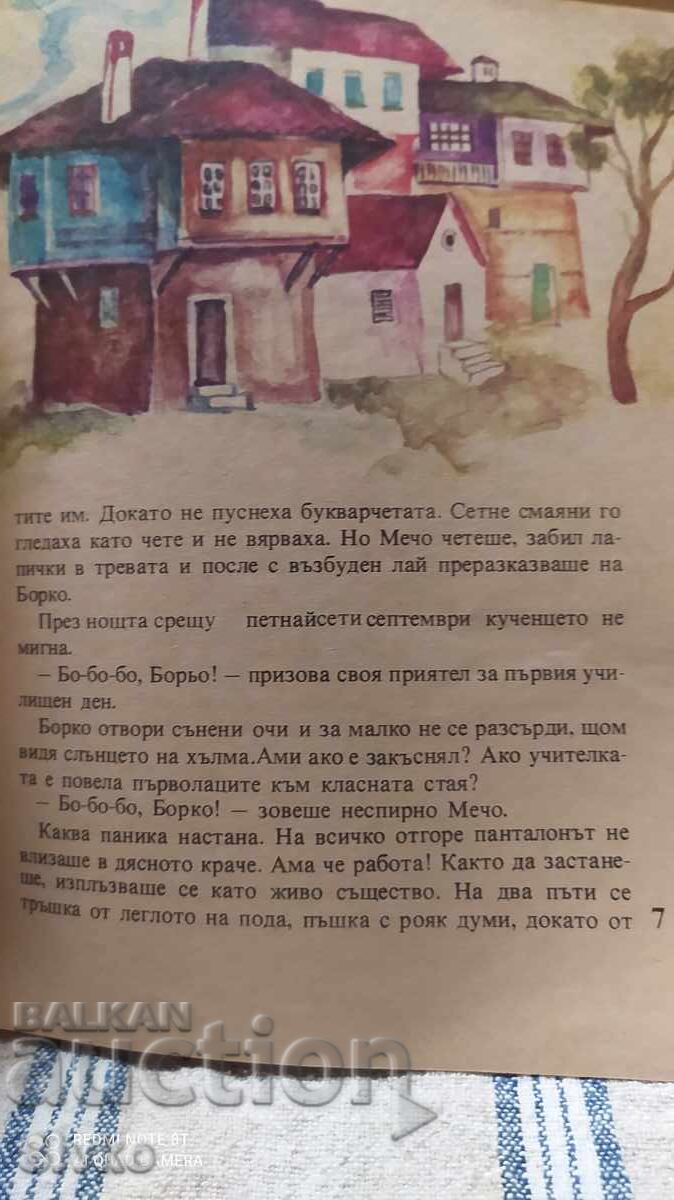 First-grader Borko, Lyuben Petkov, many illustrations - 6