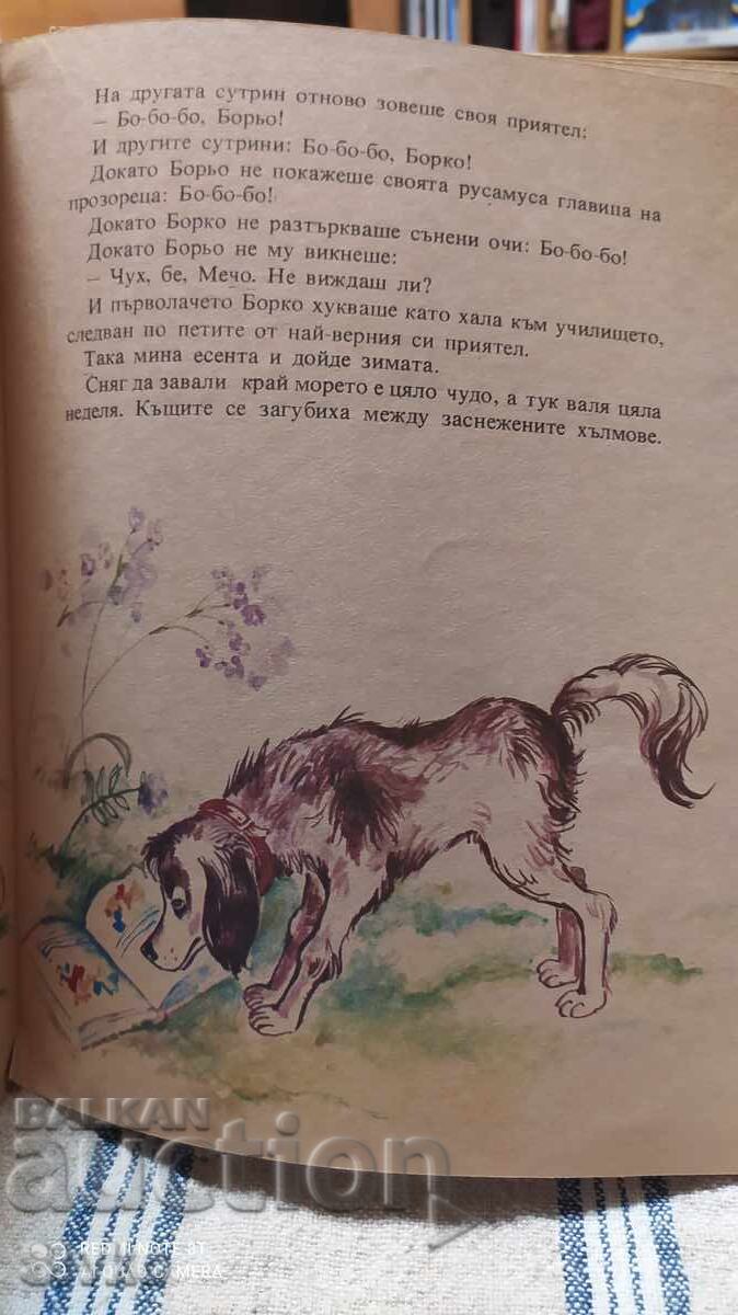 First-grader Borko, Lyuben Petkov, many illustrations - 7
