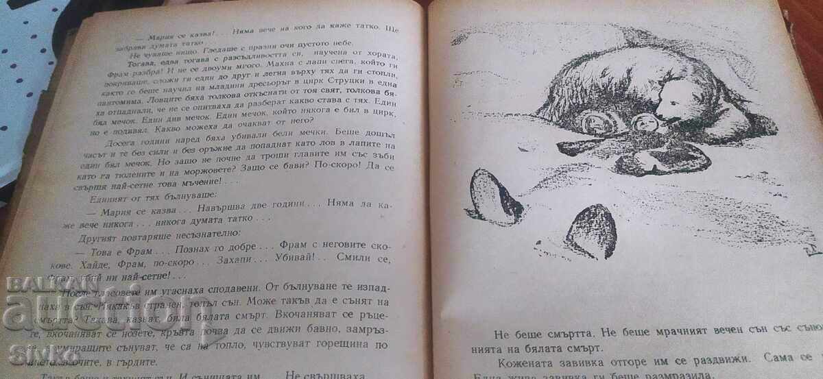 Δημοπρασία Φραμ, η πολική αρκούδα, πολλές εικονογραφήσεις